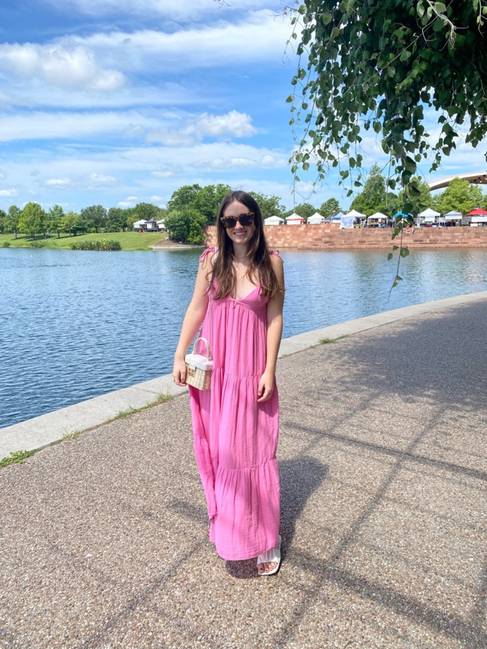 Zara Pink Maxi Dress
